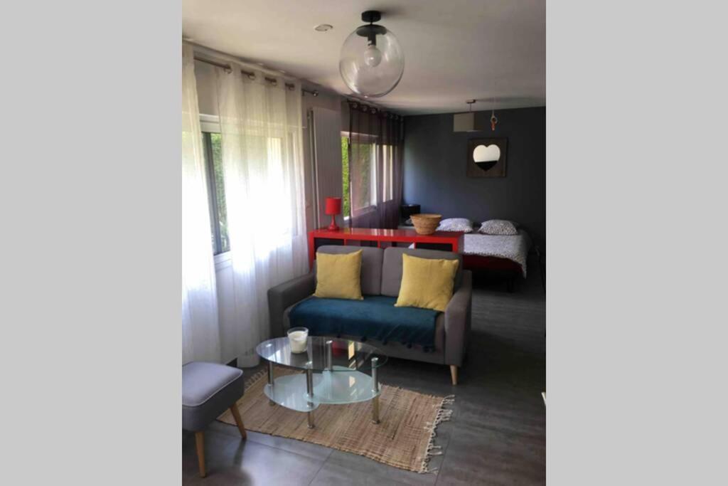 Bel Appartement En Rez De Jardin, 10Min Centre Et 300M Quais De Seine Wifi Руан Екстер'єр фото